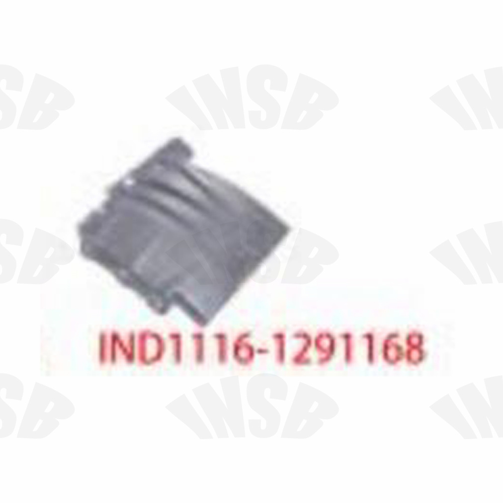 FRONT MUDGUARD (FRONT) FOR DAF XF 95 TRUCK SPARE PARTS IND1116