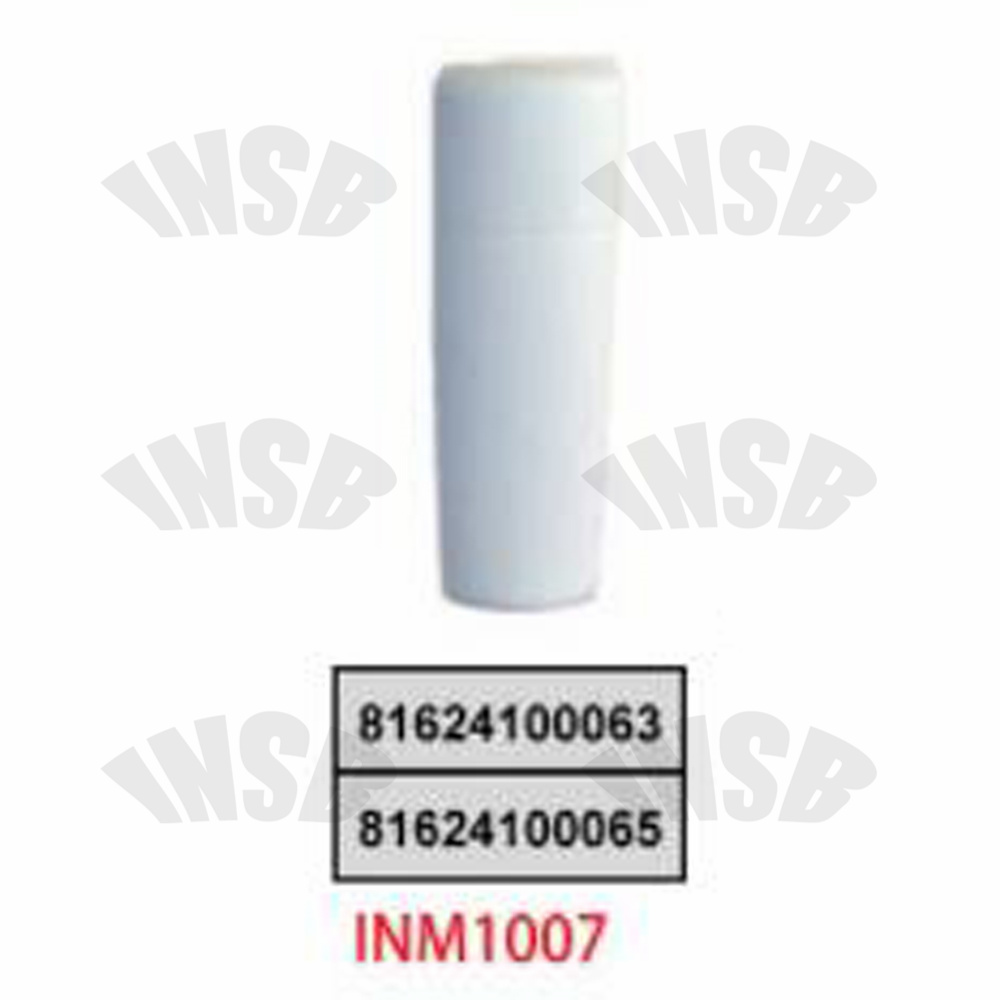 SPOILER VANE CORNER FOR MAN F2000 TRUCK SPARE PARTS INM1007