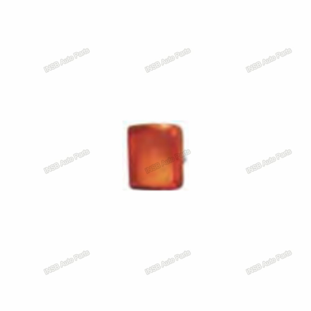 0066698 CORNER LAMP RH for DAF XF 95 Truck Spare Parts IND1059