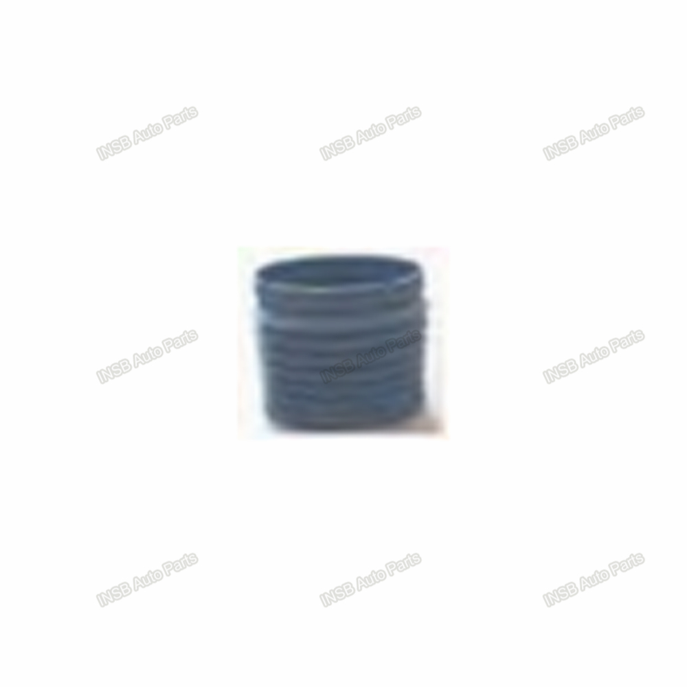 1310894 AIR INLET PIPE for DAF XF95 Truck Spare Parts IND1099