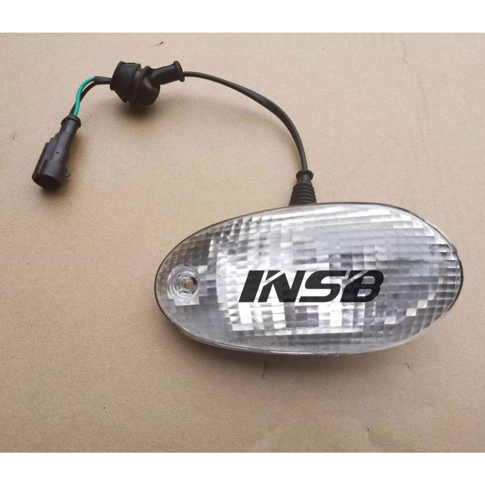 504047265 504047264 SUNVISOR LAMP RH LH  for IVECO STRALIS AS 2007 EUROTRAKKER truck parts INIV7013